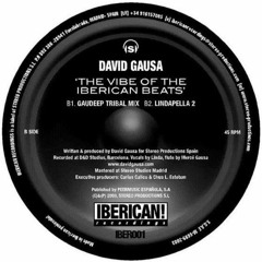 DAVID GAUSA, THE LAND OF VOODOO - THE VIBE OF THE IBERICAN BEATS (SAMUEL PRIVATE)