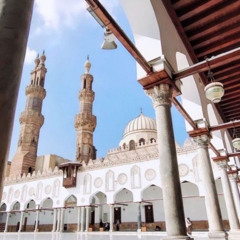 ﴿وَأُوحِيَ إِلَى نُوحٍ أَنَّهُ لَن يُؤْمِنَ مِن قَوْمِكَ إِلاَّ مَن قَدْ آمَنَ فَلاَ تَبْتَئِسْ بِمَا كَانُواْ يَفْعَلُونَ﴾[هود:٣٦]الشيخ محمد أحمد