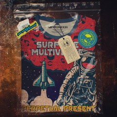 Perpetual Present - Surf The Multiverse (Original Mix)