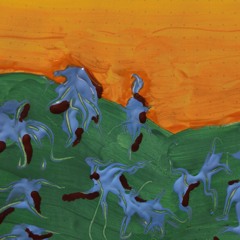 quello che auguro pure a me