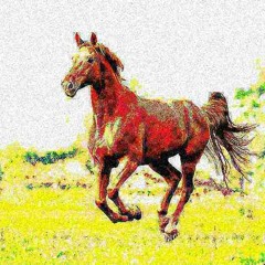 Paardje In Galop (Boer Harms Remix)