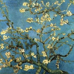 أشيائي الحَبيباتِ