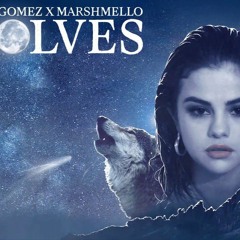 Wolves - Salena Gomez (rohit remix)