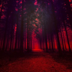 The Mistery of the Red Forest