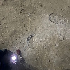 the fate of love is death.throwaway