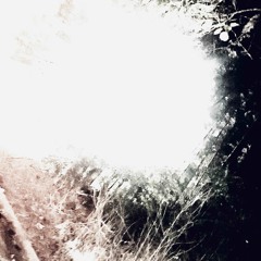 clicking up (prod. sammyboy! x youngmooskii)