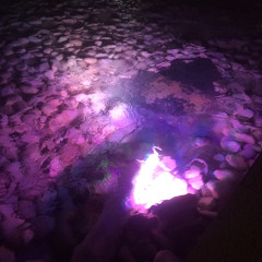 Toxic by Britney Spears (Alex & Sierra Version Acoustic Cover By Reese Ruales)