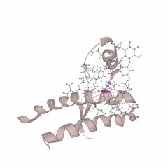 Major Prion Protein - Algorithm I