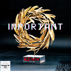 IMPORTANT remix