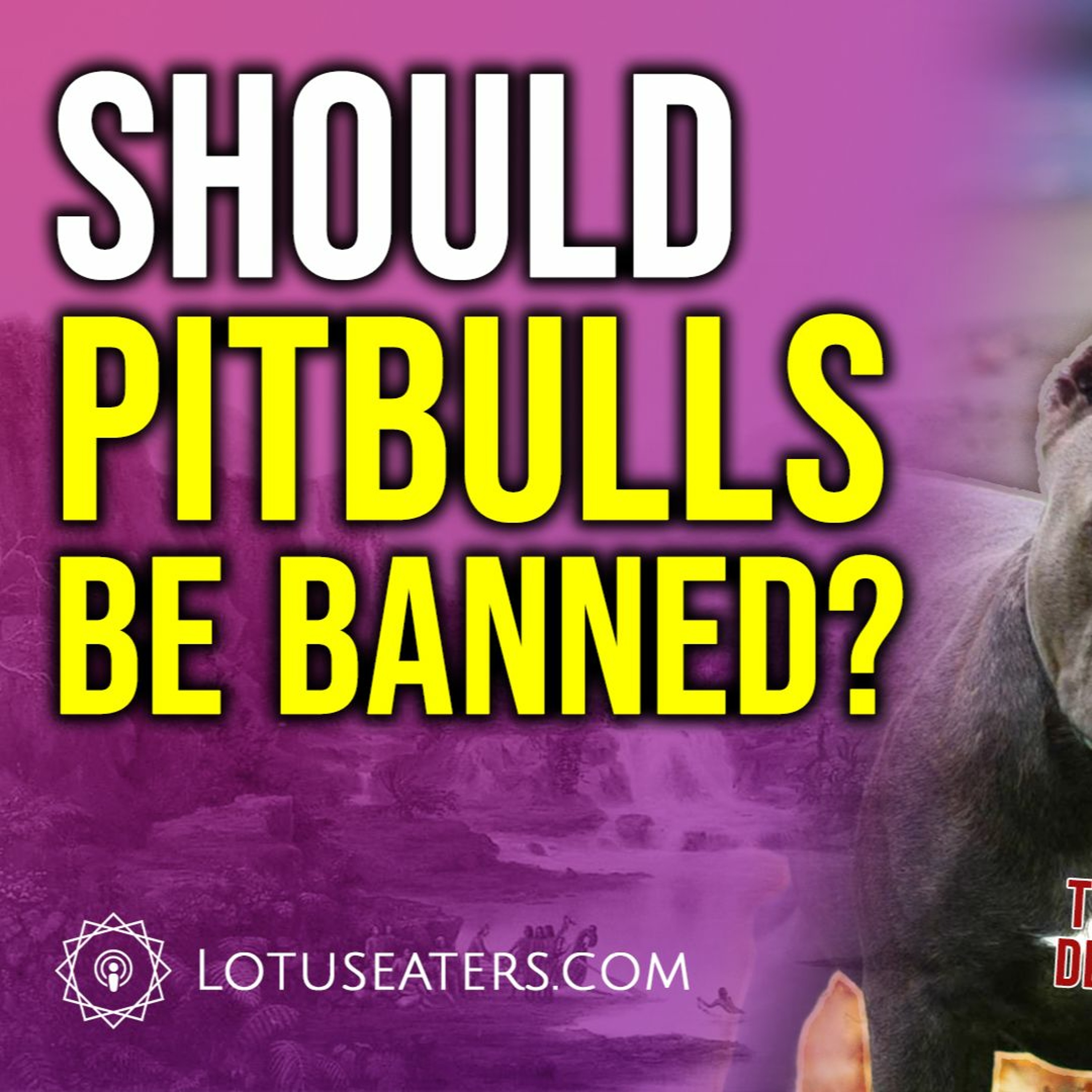 The Pitbull Debate
