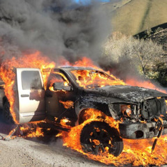 Noise Pollution X tda Meetch - Feel like