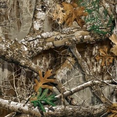 Realtree City 3