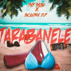Bogdan DLP X YNY Sebi - Tarabanele Karaoke 2.3 (Reedited)