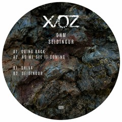 XOZ009 - OHM - Seidingur