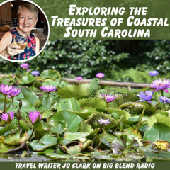 Exploring the Treasures of South Carolina's Coast