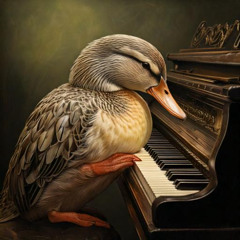 Counting Ducks 120 Dj