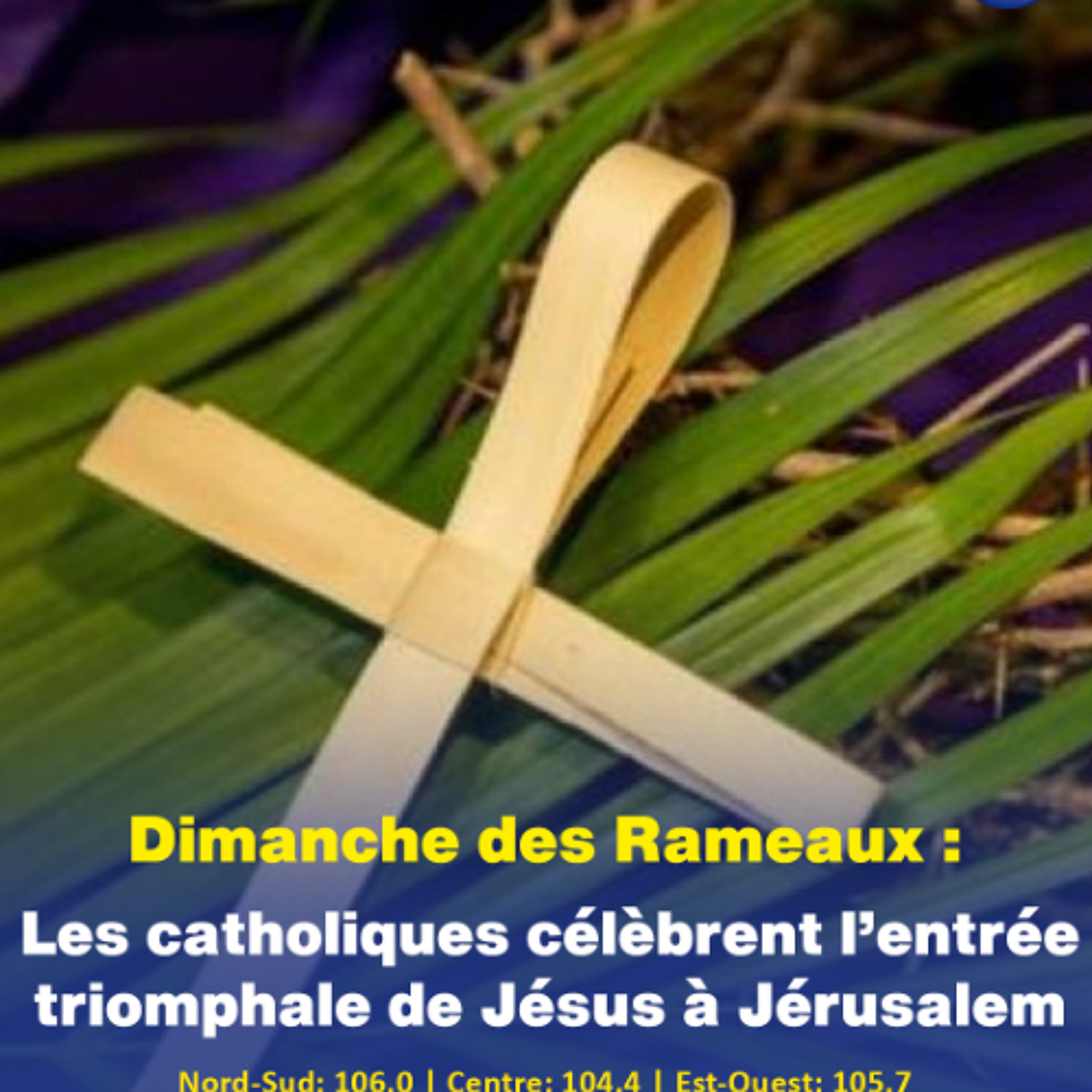 Dimanche des Rameaux : Les catholiques célèbrent l’entrée triomphale de Jésus à Jérusalem episode artwork