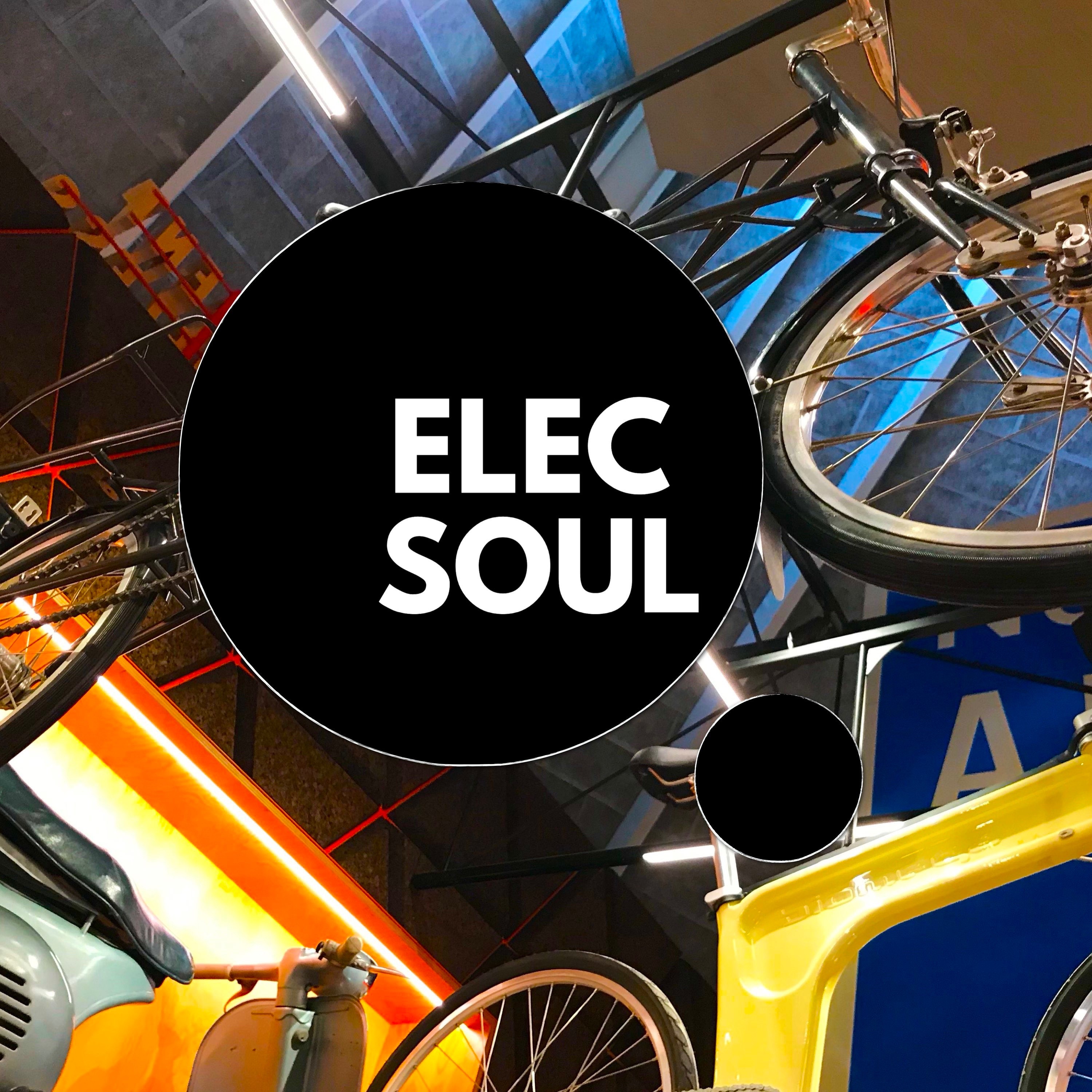 ElecSoul
