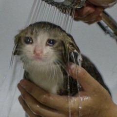 Khi Em Lớn Lofi Ver  Orange x Hoàng Dũng x Freak D.