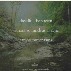Streaming In The Rain_NAVIARHAIKU590