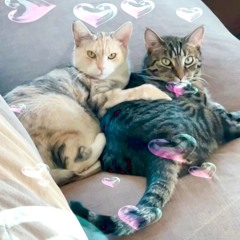 BlissCo july mix - lu. + neets