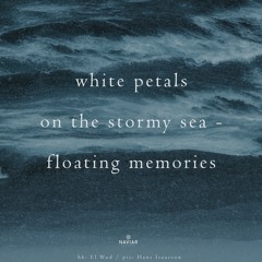 White Petals (naviarhaiku545)