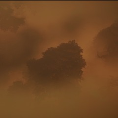 Mourning Glade: The Withering Torment