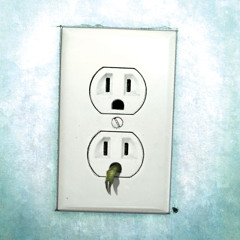 Nothing but Crickets