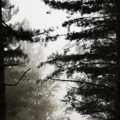 Thinking of Progress