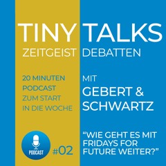 Turtlezone Tiny Talks - Wie geht es mit Fridays for Future weiter?