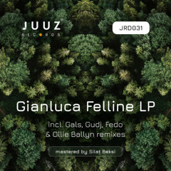 PREMIERE: Gianluca Felline - Sonic Two (Original Mix)[JRD031]