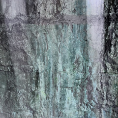 Roof Dripping in a City Alley
