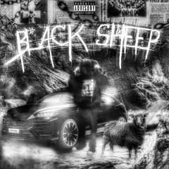 BLACKSHEEP
