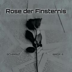 BARTHY - Rose der Finsternis [BRDF-1] (Original Mix) Schranz
