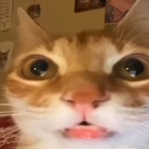 Чил
