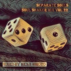 Soul Shaker Vol 22 - Mixed By Kenji Hiroto