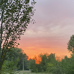 оральные хулиганы - стали потише