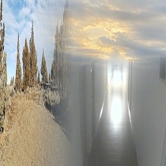 donor - the second wedding (prod. meuh)