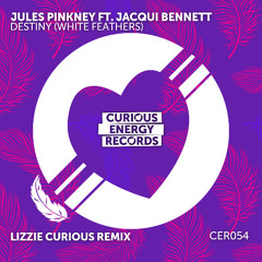 Jules Pinkney ft Jacqui Bennett 'Destiny (White Feathers) Lizzie Curious Remix (EDIT)