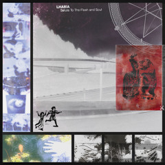 The Hour Illusions Take Shape