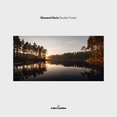 Giovanni Dorio - Sauddo Forest [Calm Coastline Records]