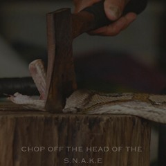 Chop Off The Head Of The S.n.a.k.e MASTER1