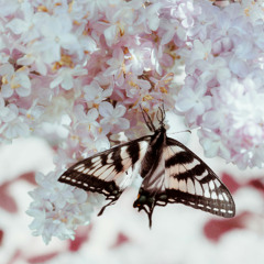 Commas (prod. gelato2k15)