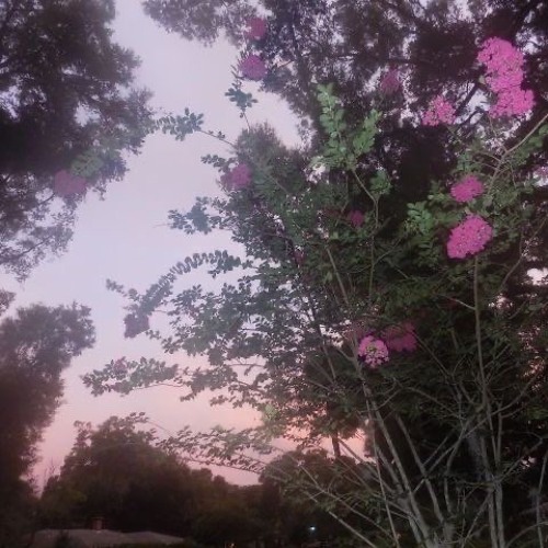 hollowtiphero - <3