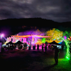 Ajja/Zenith Appreciation Psy Mix