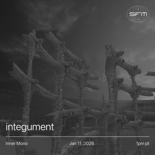 Inner Mono 06: Integument
