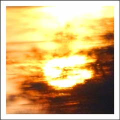 AMBIENT - Friends of Salon_Blanc