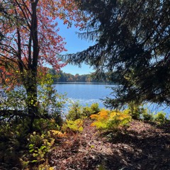 Peace And Joy - Part 6 of the Life Cycles Meditative Soundscapes Series
