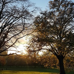 Trallali, Trallaley, Trallalera