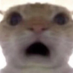 RATGIRL WANTS MORE CHEESE!